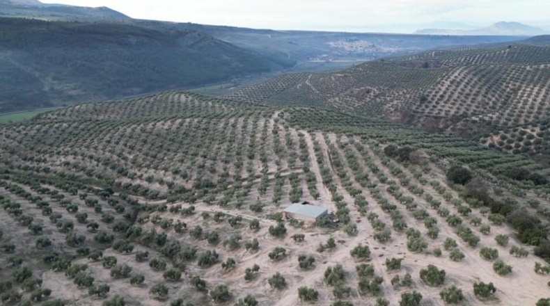 Granada - Iznalloz - 720000m2