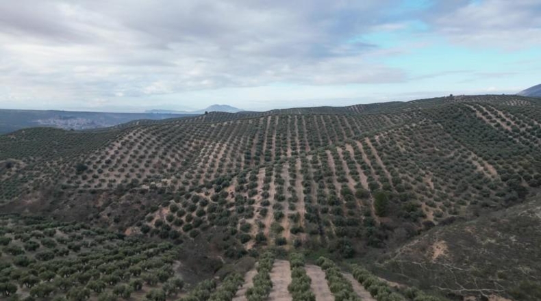 Granada - Iznalloz - 720000m2