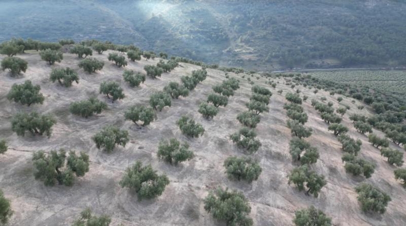 Granada - Iznalloz - 720000m2