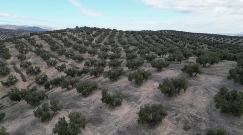 Granada - Iznalloz - 720000m2