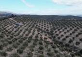 Xalet independent amb terreny en venda a la España, Iznalloz, ref.: TR211330 foto