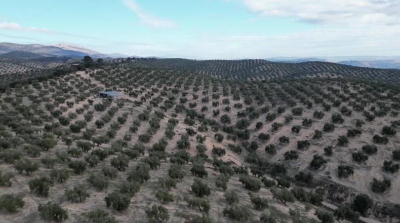 Granada - Iznalloz - 720000m2