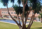 Semi-detached house with land for sale in el Vendrell ref: TR412002 photo
