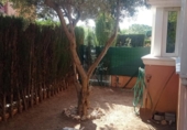 Semi-detached house with land for sale in el Vendrell ref: TR412002 photo