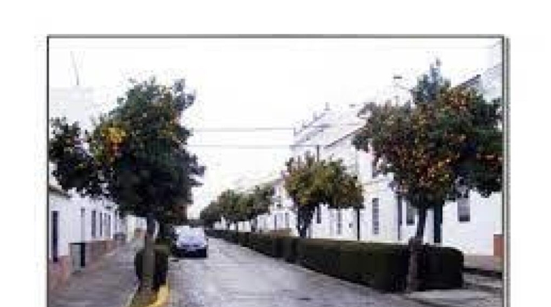 Seville - El Pedroso - 421m2