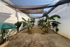 Foto 15