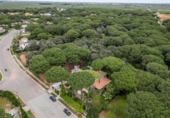 Chalet independiente con terreno en venta en Bollullos de la Mitación ref: TR406226 foto