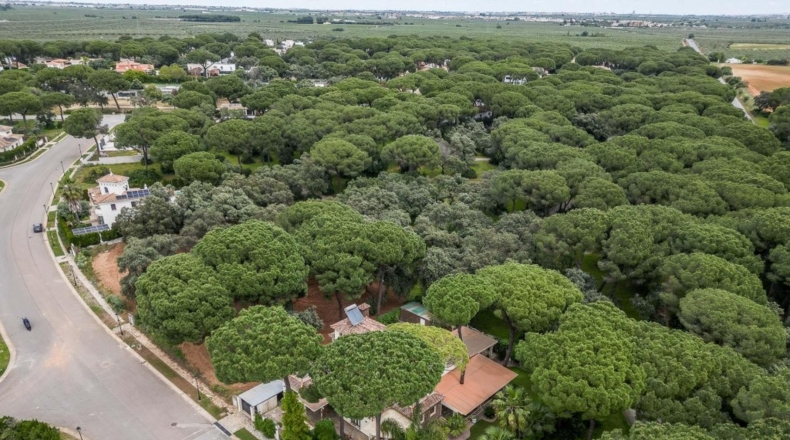 Sevilla - Bollullos de la Mitación - 330m2