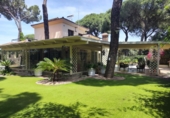 Chalet independiente con terreno en venta en Bollullos de la Mitación ref: TR406226 foto