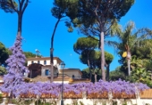 Chalet independiente con terreno en venta en Bollullos de la Mitación ref: TR406226 foto