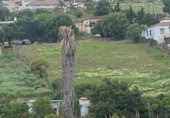 Terreny no urbanitzable en venda a la Avda.litoral, Estepona, ref.: TR412014 foto