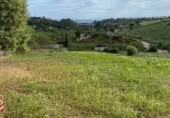 Terreny no urbanitzable en venda a la Avda.litoral, Estepona, ref.: TR412014 foto