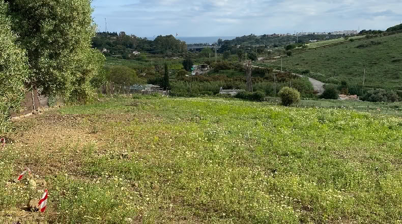 Málaga - Estepona - 4000m2