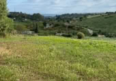 Terreny no urbanitzable en venda a la Avda.litoral, Estepona, ref.: TR412014 foto