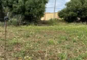 Terreny no urbanitzable en venda a la Avda.litoral, Estepona, ref.: TR412014 foto