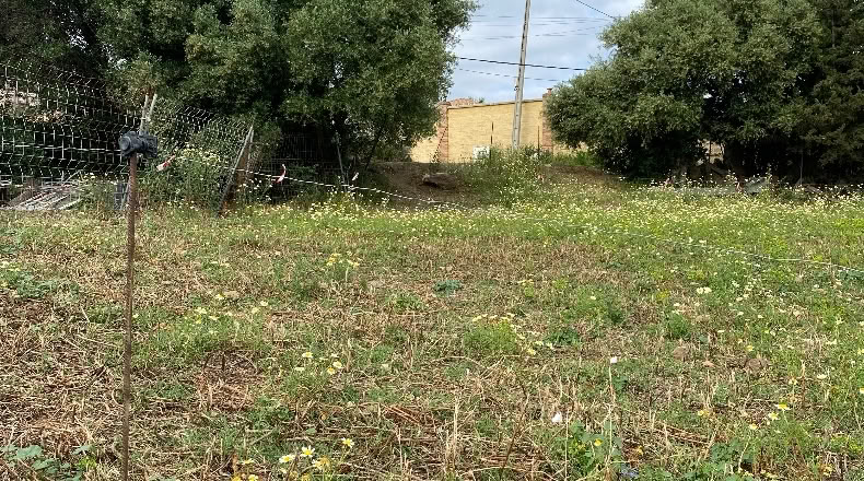 Málaga - Estepona - 4000m2