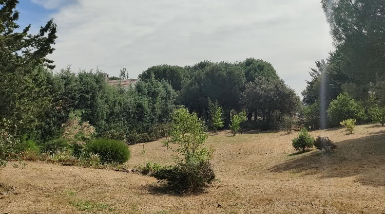 Comunidad de Madrid - Navalafuente - 1258m2