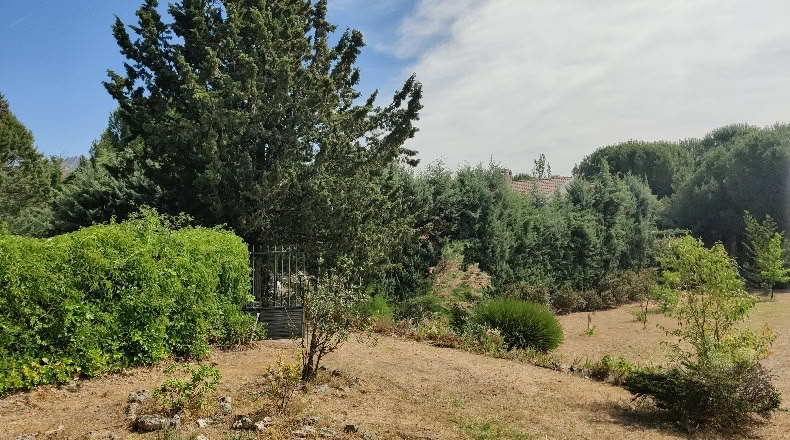 Comunidad de Madrid - Navalafuente - 1258m2