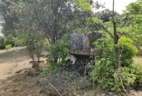 Foto 5