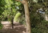 Parcela urbanizable en venta en Navalafuente ref: TR412018 foto