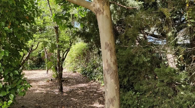 Comunidad de Madrid - Navalafuente - 1258m2