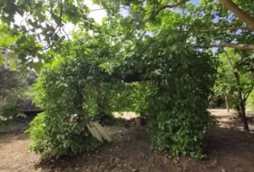 Foto 9