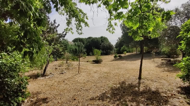 Comunidad de Madrid - Navalafuente - 1258m2