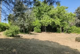 Foto 11