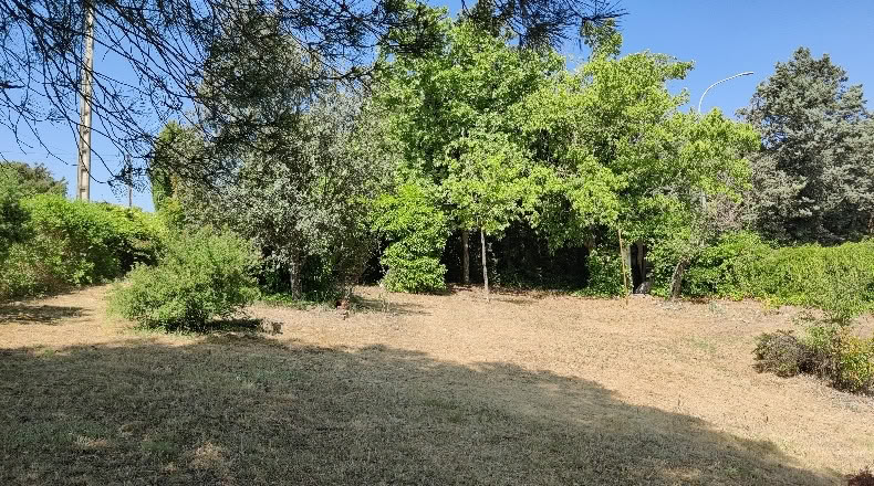 Comunidad de Madrid - Navalafuente - 1258m2