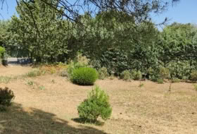 Foto 13