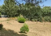 Parcela urbanizable en venta en Navalafuente ref: TR412018 foto