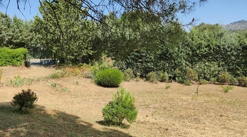 Comunidad de Madrid - Navalafuente - 1258m2