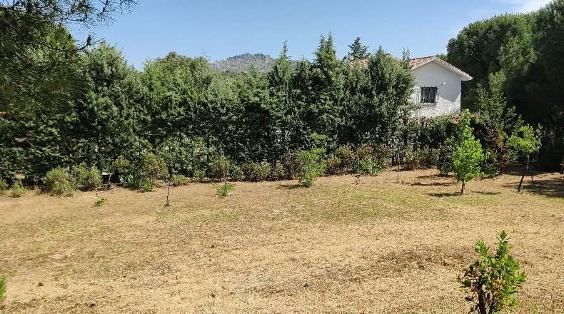 Comunidad de Madrid - Navalafuente - 1258m2