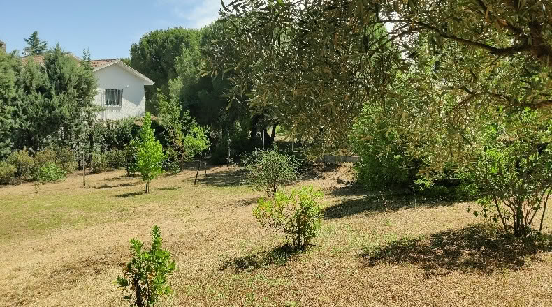 Comunidad de Madrid - Navalafuente - 1258m2