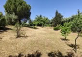 Parcela urbanizable en venta en Navalafuente ref: TR412018 foto
