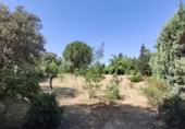 Parcela urbanizable en venta en Navalafuente ref: TR412018 foto