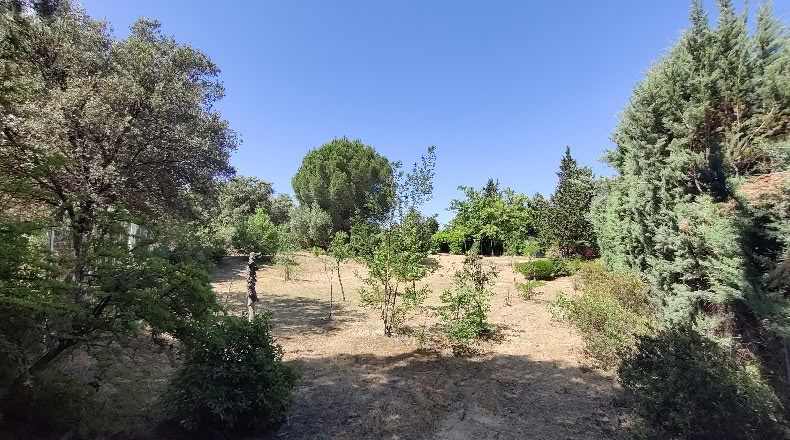 Comunidad de Madrid - Navalafuente - 1258m2