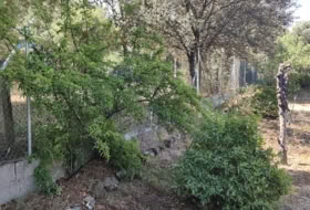 Foto 19