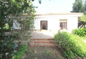 Detached villa with land for rent on España, Málaga, ref: TR412455 photo