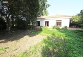 Detached villa with land for rent on España, Málaga, ref: TR412455 photo