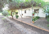 Detached villa with land for rent on España, Málaga, ref: TR412455 photo