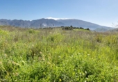 Non-developable land for sale on España, Dúrcal, ref: TR412021 photo