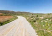 Non-developable land for sale on España, Dúrcal, ref: TR412021 photo