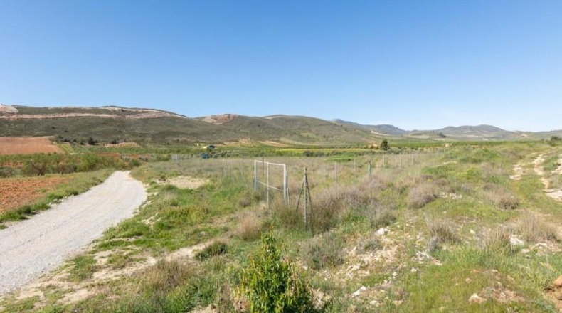 Granada - Dúrcal - 8000m2