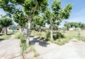 Terreny no urbanitzable en venda a la España, San Mateo de Gállego, ref.: TR412022 foto