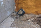 Sòl urbà en venda a la España, Ayamonte, ref.: TR412026 foto