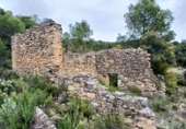 Detached villa with land for sale on España, Fórnoles, ref: TR412028 photo