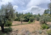 Detached villa with land for sale on España, Fórnoles, ref: TR412028 photo