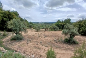 Foto 6
