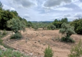 Detached villa with land for sale on España, Fórnoles, ref: TR412028 photo